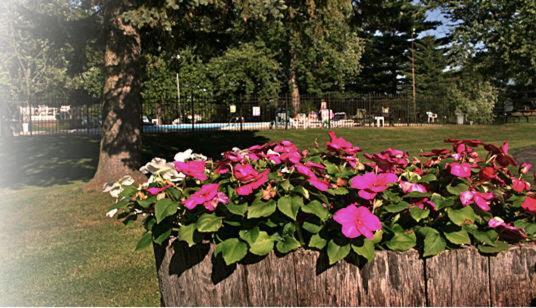 The Wesley Inn Motel Lake Geneva Εξωτερικό φωτογραφία